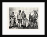 The Supposed New Tribe of Indians in Labrador by Anonymous
