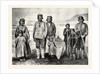 The Supposed New Tribe of Indians in Labrador by Anonymous