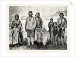 The Supposed New Tribe of Indians in Labrador by Anonymous
