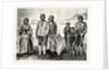 The Supposed New Tribe of Indians in Labrador by Anonymous