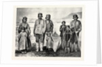 The Supposed New Tribe of Indians in Labrador by Anonymous