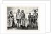 The Supposed New Tribe of Indians in Labrador by Anonymous