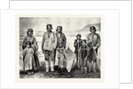 The Supposed New Tribe of Indians in Labrador by Anonymous