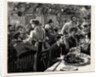 The Cyclists' Sunday Dinner at Ripley: The Clubs at Dinner by Anonymous