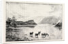 Highland Cattle Among the Islands in Loch Lomond by Anonymous