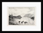 Highland Cattle Among the Islands in Loch Lomond by Anonymous