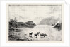 Highland Cattle Among the Islands in Loch Lomond by Anonymous