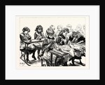 The Free Education Act, the Sewing Class of Elder Girls by Anonymous