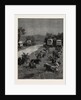 Lord Randolph Churchill in South Africa, the Oxen Outspanned in Camp by Anonymous
