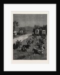 Lord Randolph Churchill in South Africa, the Oxen Outspanned in Camp by Anonymous