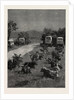 Lord Randolph Churchill in South Africa, the Oxen Outspanned in Camp by Anonymous