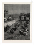 Lord Randolph Churchill in South Africa, the Oxen Outspanned in Camp by Anonymous