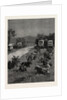 Lord Randolph Churchill in South Africa, the Oxen Outspanned in Camp by Anonymous