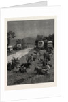 Lord Randolph Churchill in South Africa, the Oxen Outspanned in Camp by Anonymous
