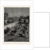 Lord Randolph Churchill in South Africa, the Oxen Outspanned in Camp by Anonymous