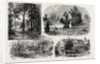 Sketches in Waterlow Park, which Has Been Presented to the Public by Sir Sydney Waterlow by Anonymous