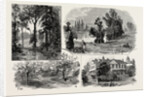 Sketches in Waterlow Park, which Has Been Presented to the Public by Sir Sydney Waterlow by Anonymous