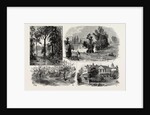 Sketches in Waterlow Park, which Has Been Presented to the Public by Sir Sydney Waterlow by Anonymous