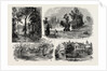 Sketches in Waterlow Park, which Has Been Presented to the Public by Sir Sydney Waterlow by Anonymous