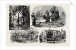 Sketches in Waterlow Park, which Has Been Presented to the Public by Sir Sydney Waterlow by Anonymous