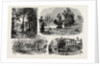 Sketches in Waterlow Park, which Has Been Presented to the Public by Sir Sydney Waterlow by Anonymous
