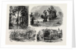Sketches in Waterlow Park, which Has Been Presented to the Public by Sir Sydney Waterlow by Anonymous