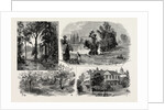Sketches in Waterlow Park, which Has Been Presented to the Public by Sir Sydney Waterlow by Anonymous