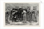 The Centenary of the Royal Veterinary College, Camden Town: Students at Work Under the Direction of S Professor. Free-Practice; Sounding His Lungs by Anonymous