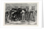 The Centenary of the Royal Veterinary College, Camden Town: Students at Work Under the Direction of S Professor. Free-Practice; Sounding His Lungs by Anonymous