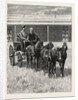 Sketches of Life on an Estancia in the Argentine Republic: Starting for a Drive Over the Pampas in a Mail-Pheaton by Anonymous
