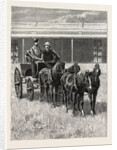 Sketches of Life on an Estancia in the Argentine Republic: Starting for a Drive Over the Pampas in a Mail-Pheaton by Anonymous
