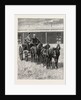 Sketches of Life on an Estancia in the Argentine Republic: Starting for a Drive Over the Pampas in a Mail-Pheaton by Anonymous