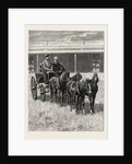 Sketches of Life on an Estancia in the Argentine Republic: Starting for a Drive Over the Pampas in a Mail-Pheaton by Anonymous