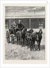 Sketches of Life on an Estancia in the Argentine Republic: Starting for a Drive Over the Pampas in a Mail-Pheaton by Anonymous