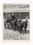 Sketches of Life on an Estancia in the Argentine Republic: Starting for a Drive Over the Pampas in a Mail-Pheaton by Anonymous