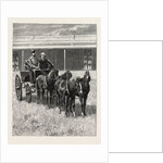 Sketches of Life on an Estancia in the Argentine Republic: Starting for a Drive Over the Pampas in a Mail-Pheaton by Anonymous