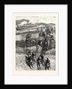 Following the Hounds by Train; New Zealand by Anonymous