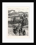 Following the Hounds by Train; New Zealand by Anonymous