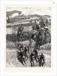 Following the Hounds by Train; New Zealand by Anonymous