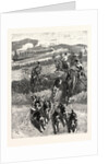 Following the Hounds by Train; New Zealand by Anonymous