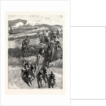 Following the Hounds by Train; New Zealand by Anonymous