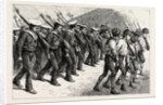 Young Brazil, Cadets Marching Through the Streets of Rio De Janeiro by Anonymous