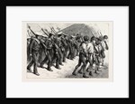 Young Brazil, Cadets Marching Through the Streets of Rio De Janeiro by Anonymous
