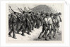 Young Brazil, Cadets Marching Through the Streets of Rio De Janeiro by Anonymous