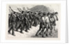 Young Brazil, Cadets Marching Through the Streets of Rio De Janeiro by Anonymous