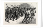 Young Brazil, Cadets Marching Through the Streets of Rio De Janeiro by Anonymous