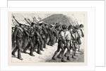 Young Brazil, Cadets Marching Through the Streets of Rio De Janeiro by Anonymous