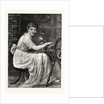 The Spinster by Anonymous