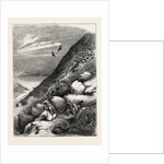 Above Loch Ettive a Bad Miss after a Long Stalk by Anonymous