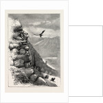 Deer Stalking in the Forest of the Black Mount, Argyllshire: Trying to Get a Comfortable Position by Anonymous